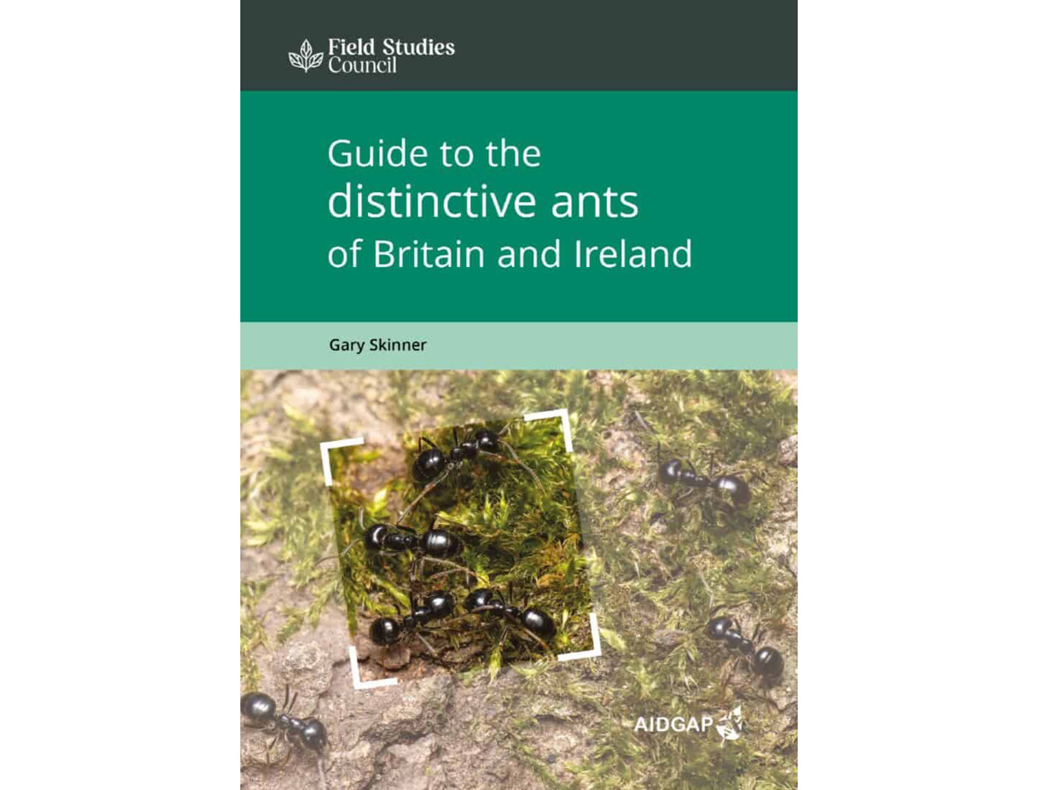 guide to the distinctive ants